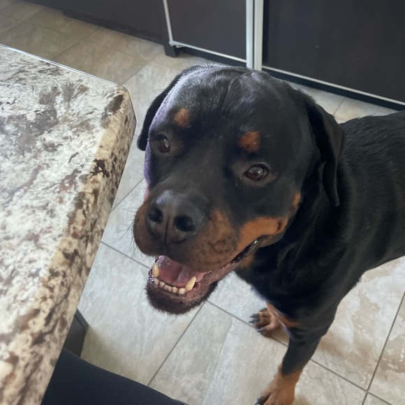 PLEASE READ! - Picture 2 of 5